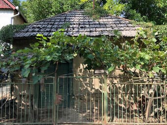 Viničný domček a niekoľko radov viniča