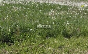 HALO reality - Predaj, pozemok pre rodinný dom 800 m2 Andovc