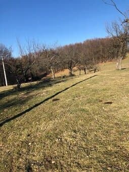 Pozemok s projektom chaty bez RK - Nová Baňa, Bukovina