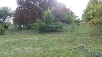 Pozemok Velký Šariš - oblasť Kanaš
