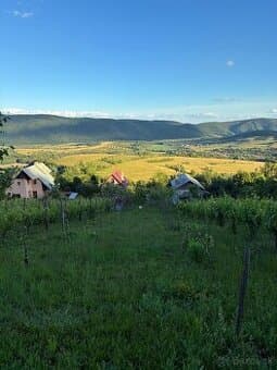 Vinica v Hrušove
