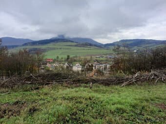 pozemok 4770m2 v obci Dolný Lieskov