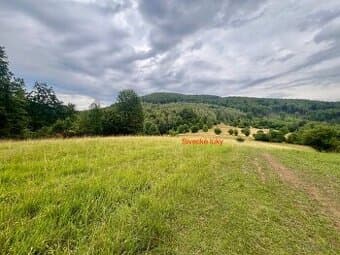 Rekreačný pozemok pri lese,Košic.Hámre,prístup autom,6175m2