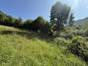 KRÁSNY rekreačný pozemok 709 m2 Zliechov - SUPER CENA