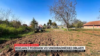 Záhrada 2190 m², Čechynce, Nitra