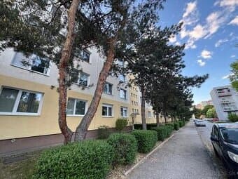 Svetlý 3,5-izbový byt 76 m² po rekonštrukcii, Kostlivého u.