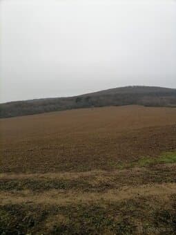 Pôda
