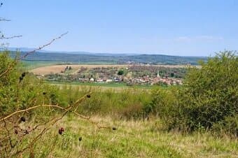 Na predaj viničný pozemok s klenbovou pivnicou a krásnym výh