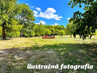 ID-3405 Predaj podielu pozemku – Domaša, Nová Kelča