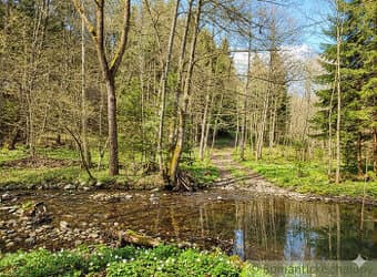 Pozemok pri potoku v lese, Nízke Tatry