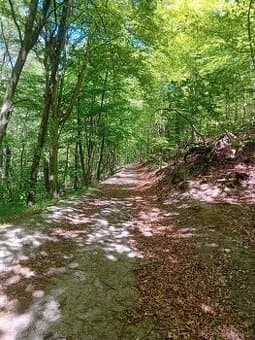 Predam zahradu s potokom striebornica