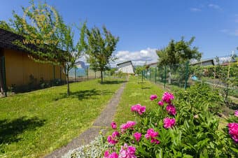 NA PREDAJ Chata s pozemkom 510 m² | Dubnica nad Váhom