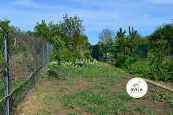 NA PREDAJ: Úrodná záhrada 249 m² v Modranke – pripravená na