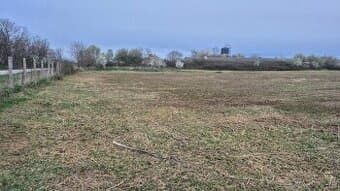 Predám alebo prenajmem pozemok 3,5 ha v Palárikove