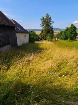 Pozemok na spásanie oviec alebo kôz ZDARMA – Štrba