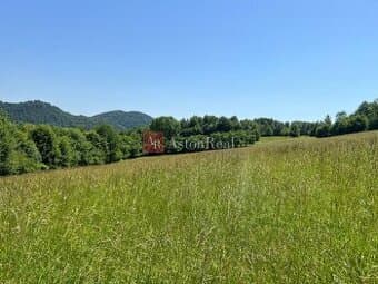 Rekreačný pozemok v obci Nimnica 3233m2