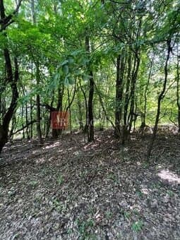 Na predaj Rekreačný pozemok v blízkosti Púchova- 3432 m2
