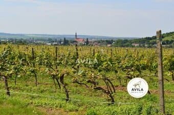 TOP NA PREDAJ: vinohrad o výmere 4740m2 - Horné Orešany