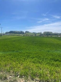 Pozemok s investičným potenciálom 4 319 m² v Dolnom Kalníku