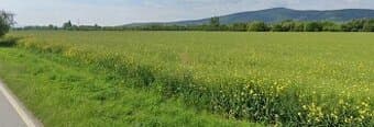 Pozemok na predaj o výmere 3.770 m2, Dolné Srnie