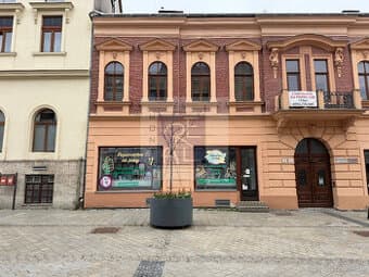 NA PREDAJ OBCHODNÝ PRIESTOR NITRA - PEŠIA ZÓNA