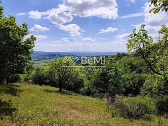 Predaj, rekreačné pozemky  - Pukanec / Štiavnické vrchy (016