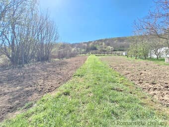 Rozľahlý 4500 m2 pozemok na hospodárenie s vínnym domom v