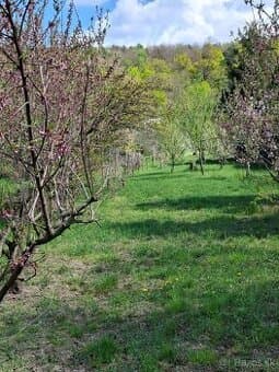 PREDAJ - rekreačný pozemok - BA IV.- Dúbravka