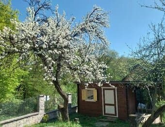 Predám záhradu s chatou - Horný Bankov - stavebné povolenie