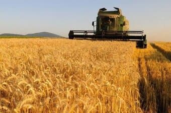 Predaj pozemkov v obci Strážne, okres Trebišov