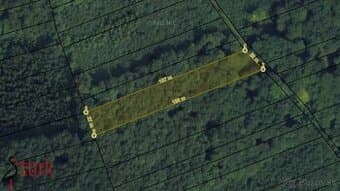 Les v katastrálnom území Rajecká Lesná - 2km od gejzíru