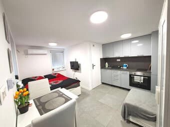 1 izb byt,Zlaté piesky, s pozemkom 250m2,voda, 50m od jazera