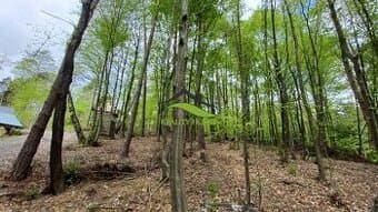 Pozemok Domaša-Nová Kelča