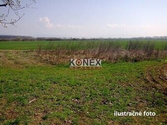 ID-3289 POĽNOHOSPODÁRSKE A LESNÉ POZEMKY – k. ú. Čukalovce