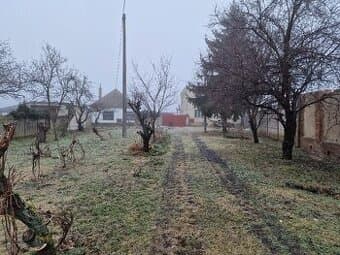 Lukratívny pozemok o výmere 9858m2 na Trnavskej ul.v Seredi