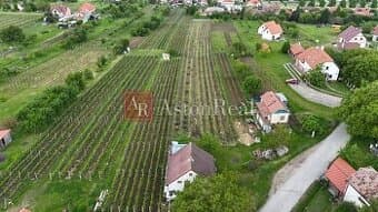 Predaj vinohradnícky dom Skalica