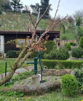 NA PREDAJ CHATA a POZEMOK 871 m2 SĹŇAVA - PIEŠŤANY