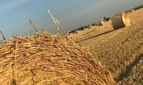 ZABEHNUTÁ BIO FARMA NA STREDNOM SLOVENSKU