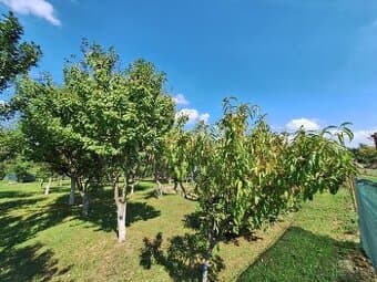 Pozemok vhodný na výstavbu o rozlohe 822m2 – MICHALOVCE