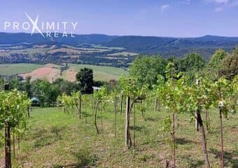 Predaj: Vinica s pozemkom 2 646m² – Hrušov, úpätie Silickej