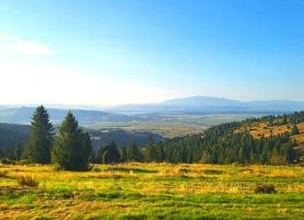 Zábiedovo – 9.700 m2 ORNÁ PÔDA a LES