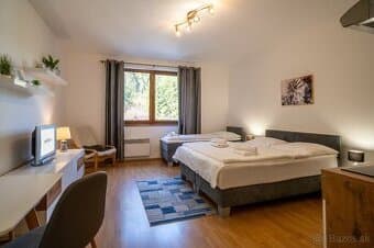Apartmán s 1 miestnosťou v Hrabovskej doline