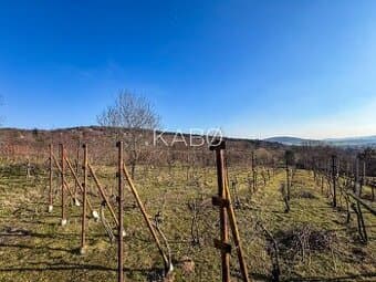 Krásna vinica pri Nitre - 895 m2