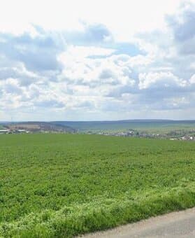 Pozemok Horné Trhovište 3042m2