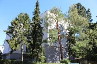 KRAMÁRE: 2 iz., Jahodová ul., Nové Mesto, BA III., 264 000,-