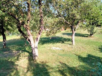 Predám záhradu na Podborovej