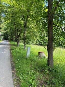 Predaj pozemok Kremnica