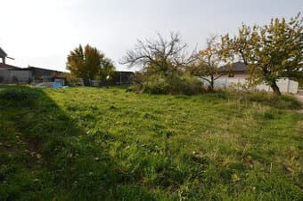 Záhrada, Senec časť Svätý Martin, 742m2, 50% zľava, elektrin
