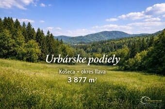 Košeca – 3 877 m² lesov a pasienkov (urbár)