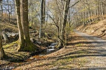 Rekreačný pozemok Priepasné – Košariská • 12 214 m²